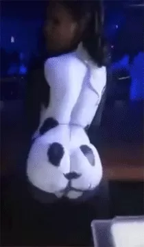 Głodna panda