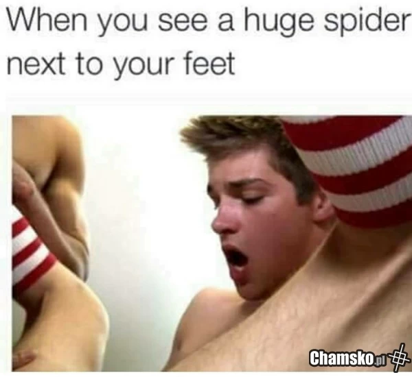 Gdy zobaczysz wielkiego pająka