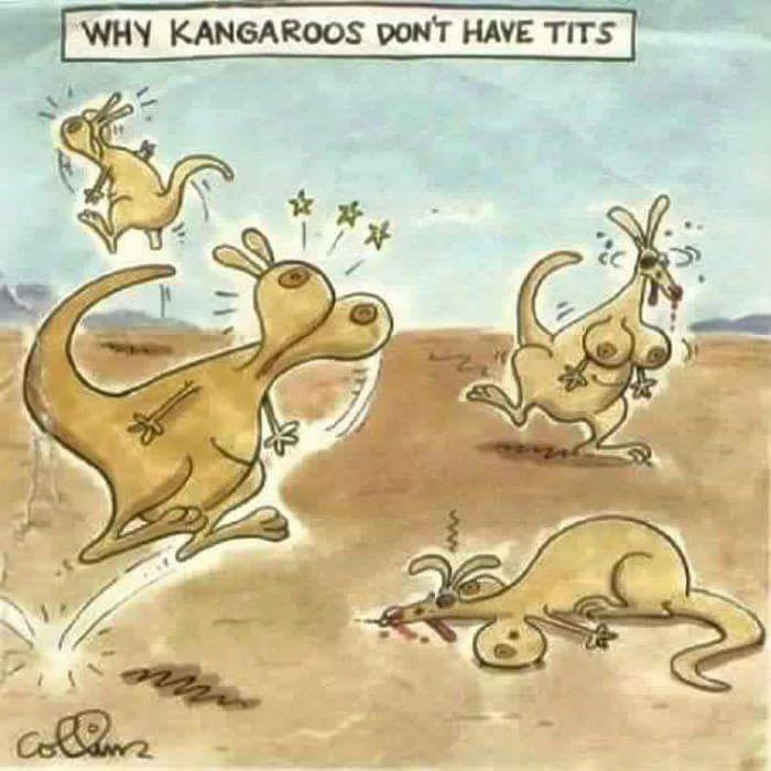 Czemu kangury nie mają cycków