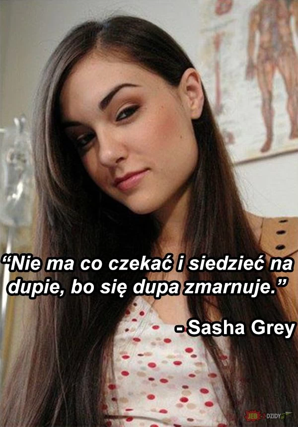Złota myśl Sashy Grey