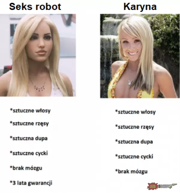 Sex robot VS Karyna