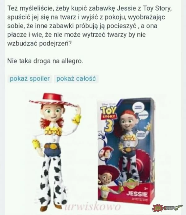 Pomysłowy fan Toy Story