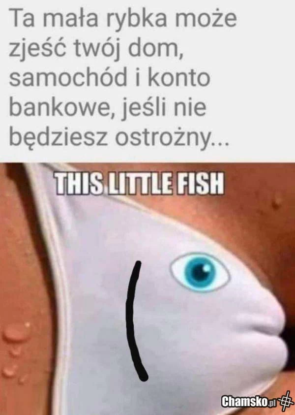 Mała rybka